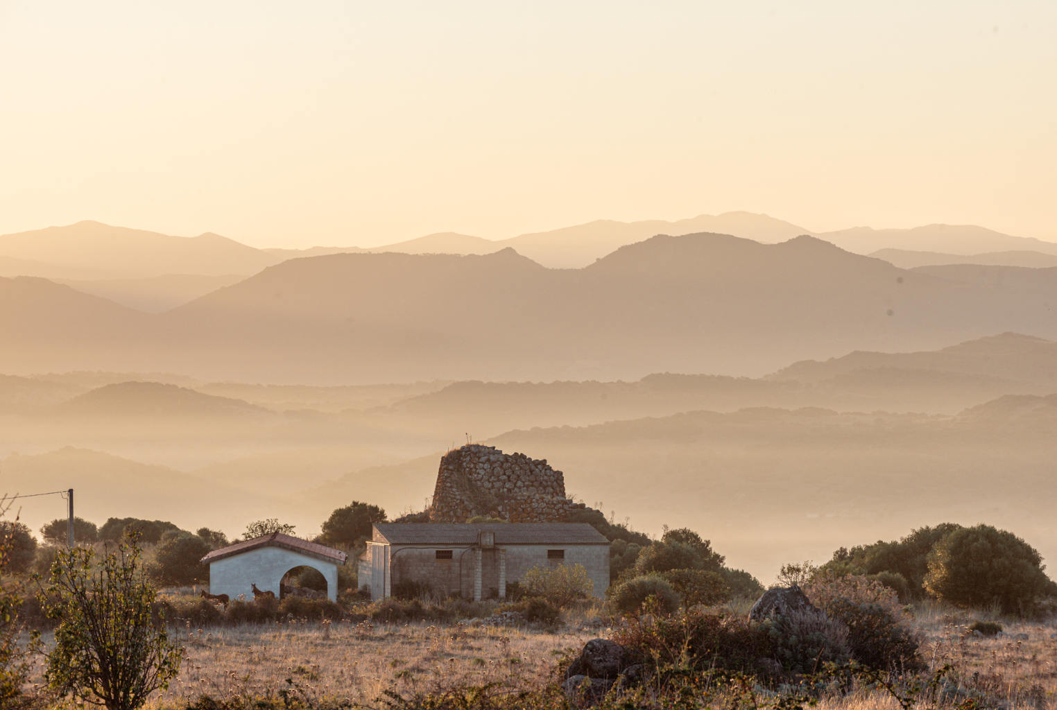 Paesaggio Noragugume