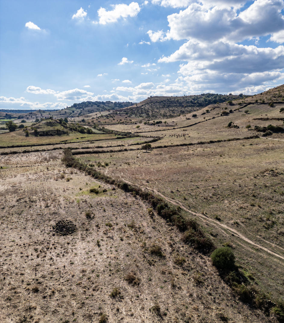 Paesaggio Noragugume